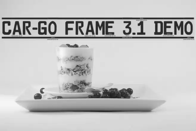 Car-Go Frame 3.1 Demo Font examples