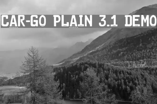 Car-Go Plain 3.1 Demo Font examples
