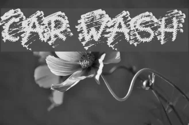 Car Wash Schriftart examples