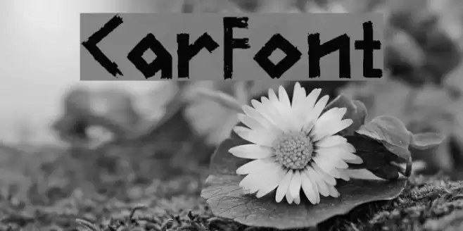 CarFont Font examples