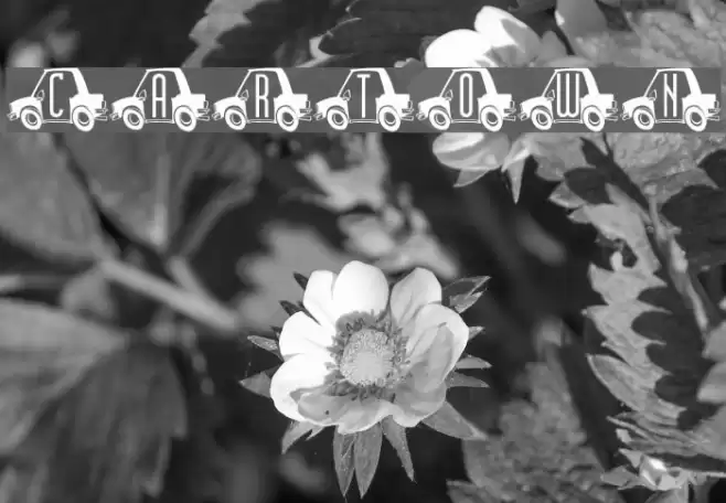 CarTown Fonte examples