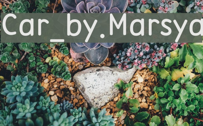 Car_by.Marsya Font examples