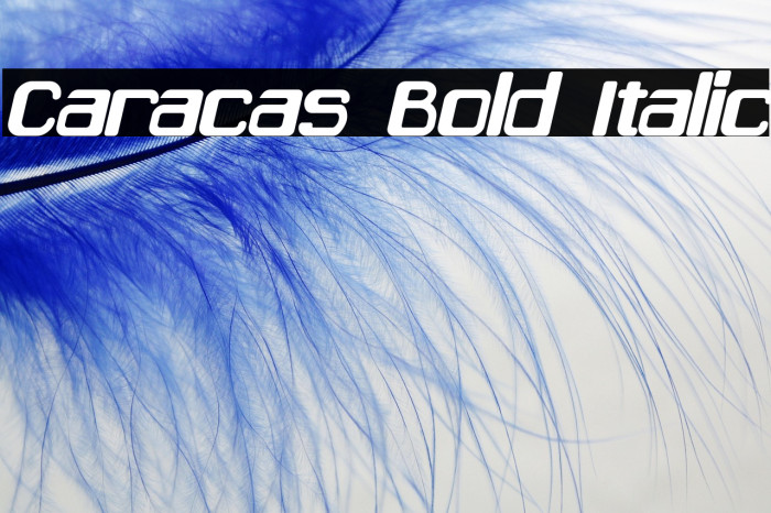Caracas Bold Italic Example 3