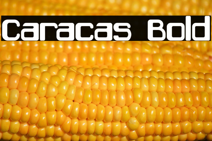 Caracas Bold Example 3
