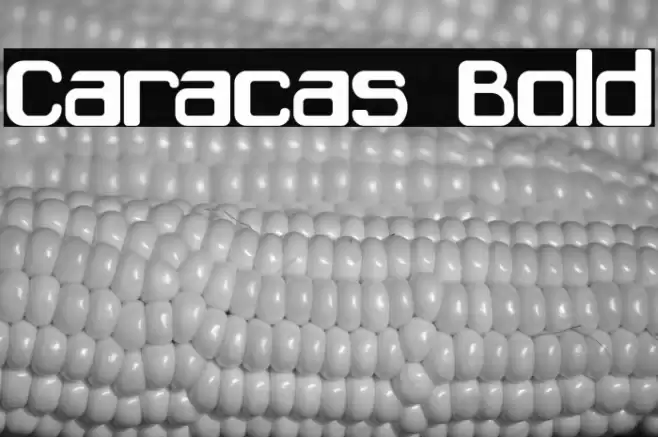 Caracas Bold Font examples