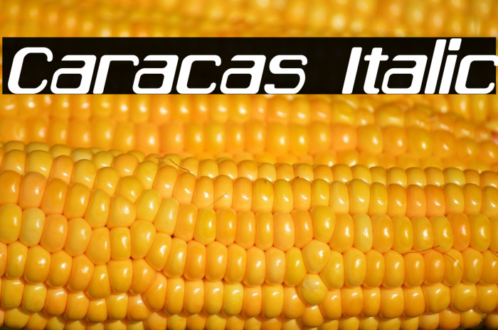 Caracas Italic Example 2