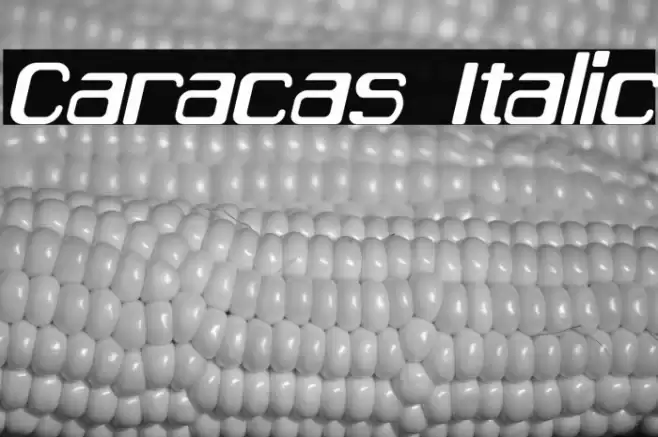 Caracas Italic Font examples