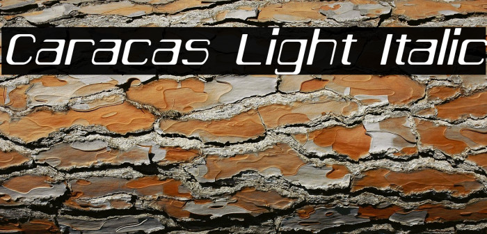 Caracas Light Italic Example 3