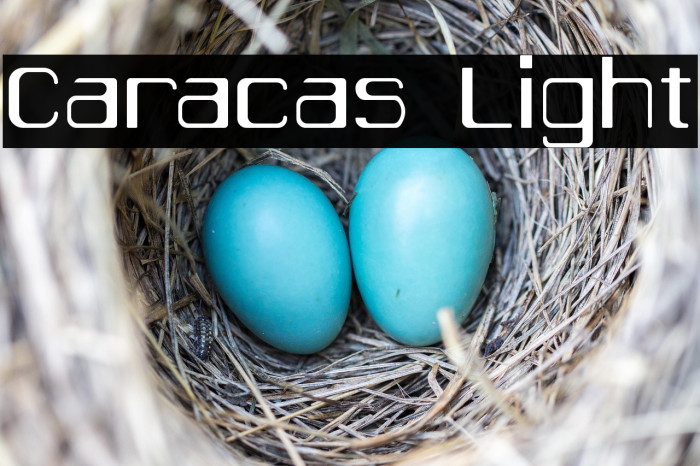 Caracas Light Example 1