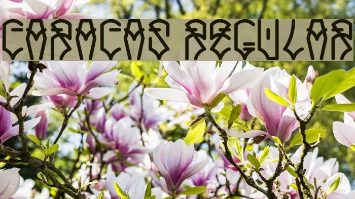 Caracas Regular Font examples