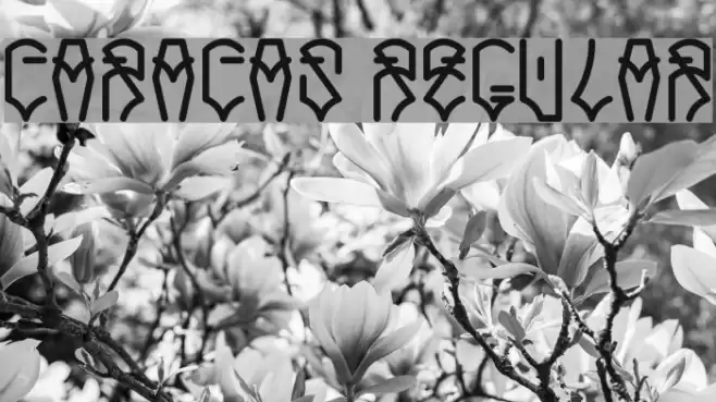 Caracas Regular Font examples