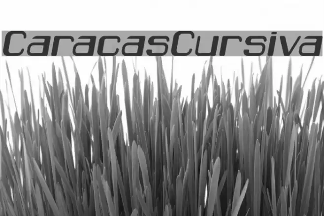 CaracasCursiva Font examples