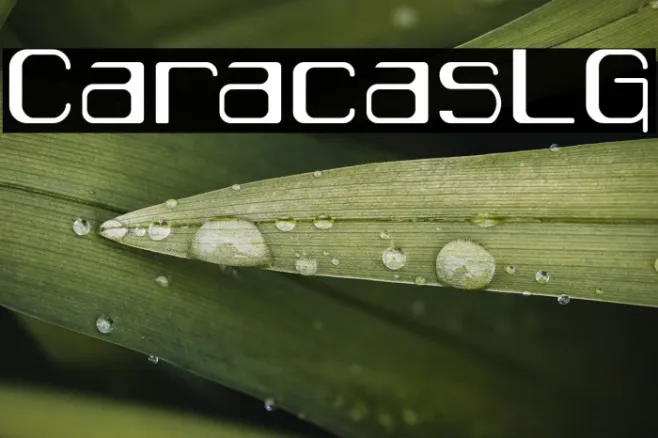 CaracasLG Example 1