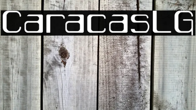 CaracasLG Example 3