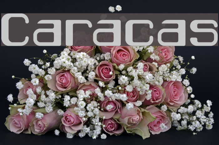 Caracas Font examples