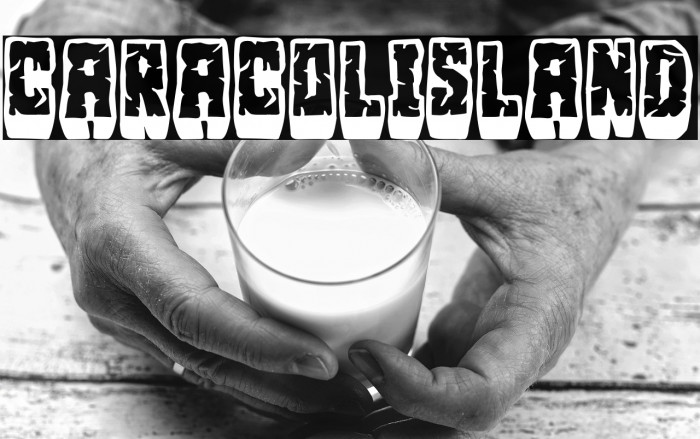 Caracol Island Example 2