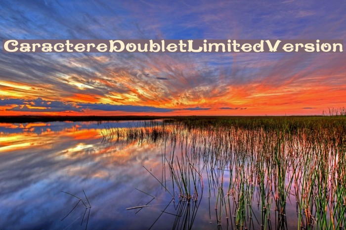 CaractereDoubletLimitedVersion Schriftart examples