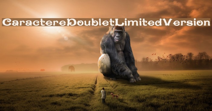 CaractereDoubletLimitedVersion Schriftart examples
