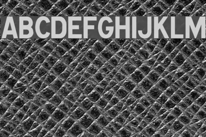 Caracteres L1 Font examples