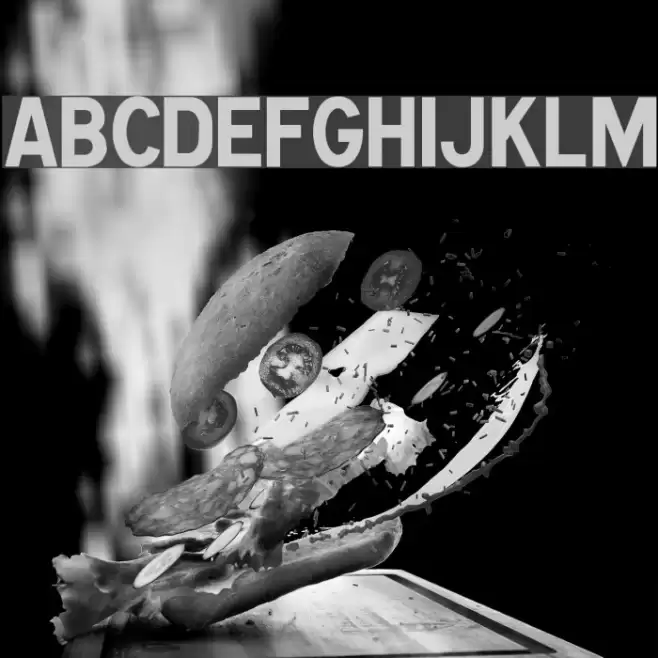 Caracteres L1 Font examples