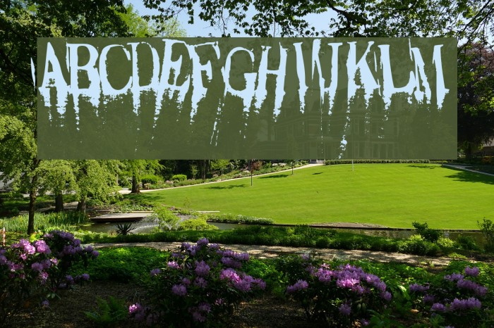 Caracura Font examples