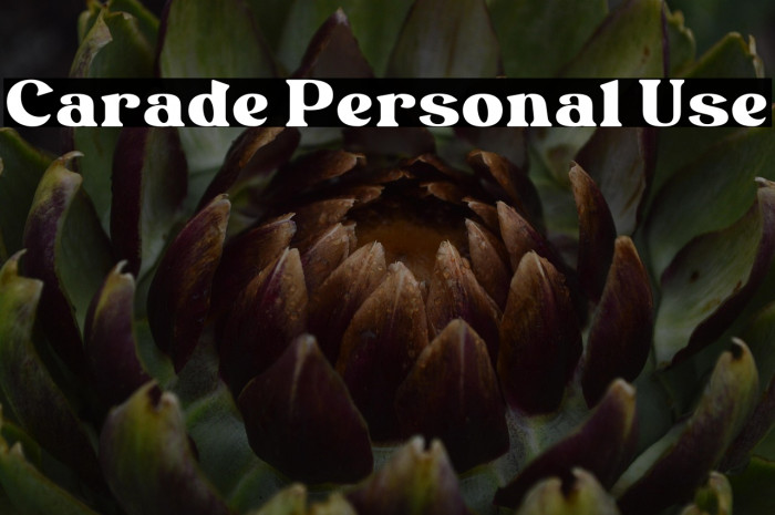 Carade Personal Use Example 1