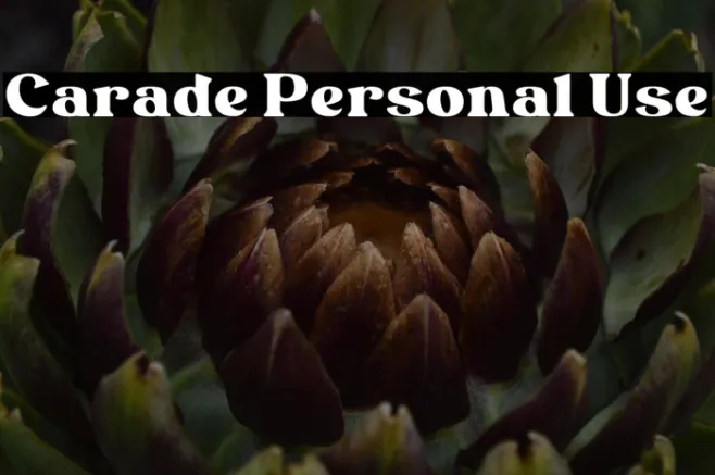 Carade Personal Use Example 1