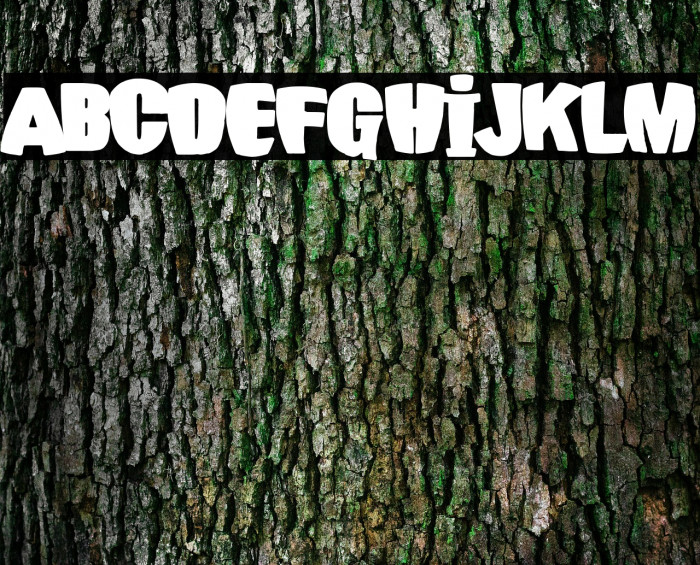 Carajillo de Anís Example 3