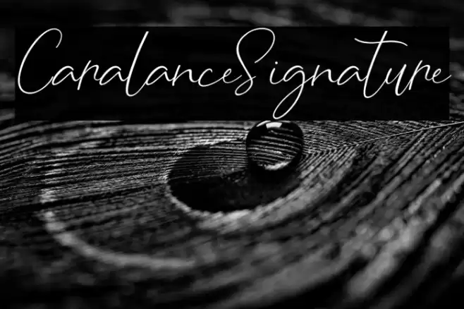 CaralanceSignature Font examples