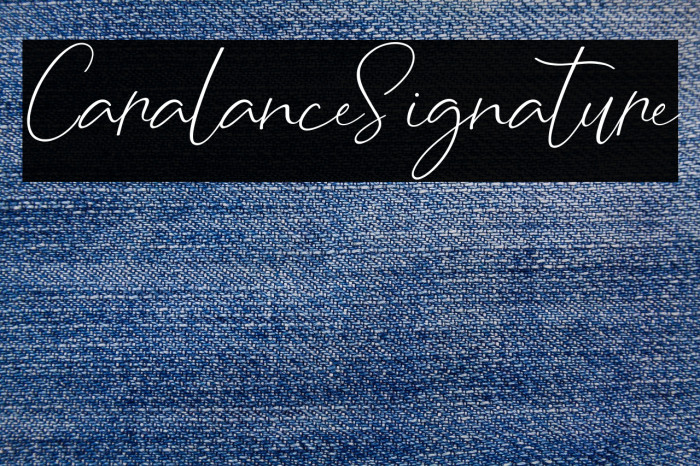 CaralanceSignature Example 2
