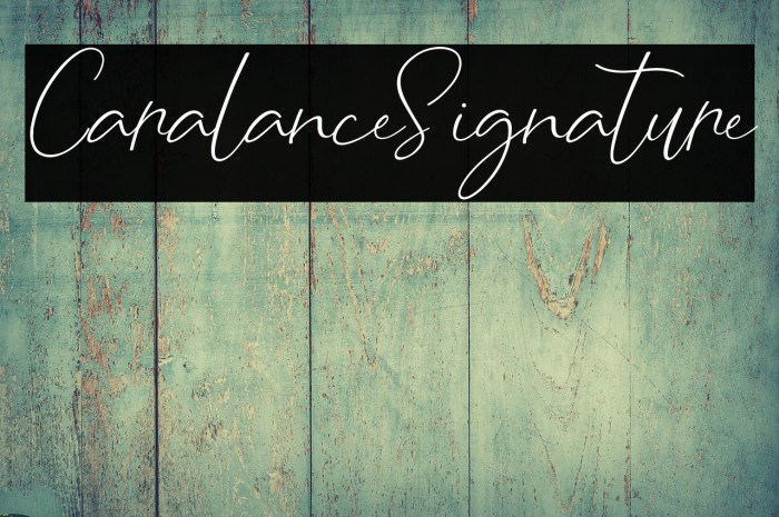 CaralanceSignature Example 3