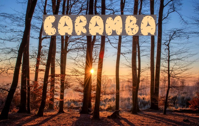 Caramba Font examples