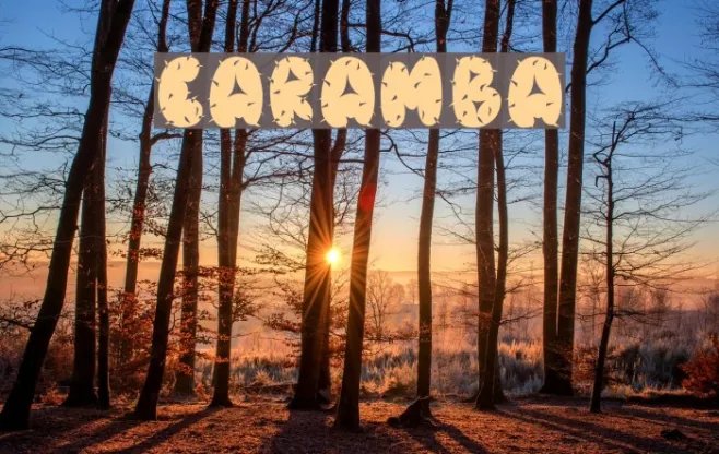 Caramba Example 1