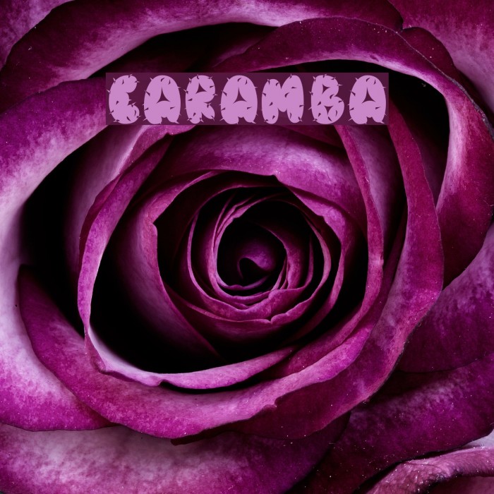 Caramba Font examples