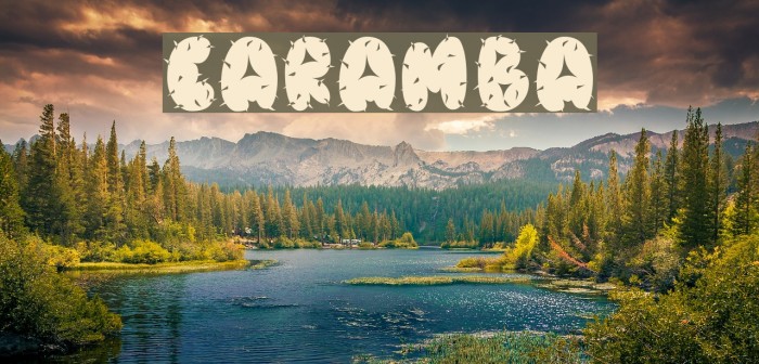Caramba Font examples
