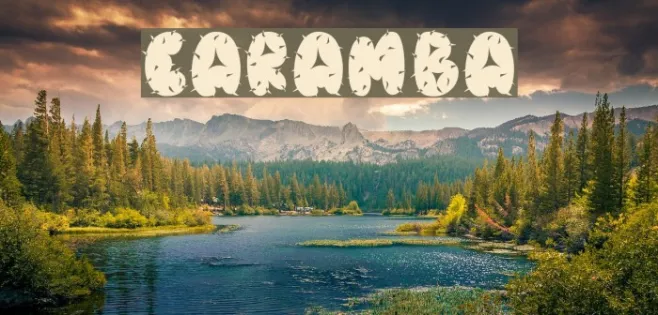 Caramba Example 3