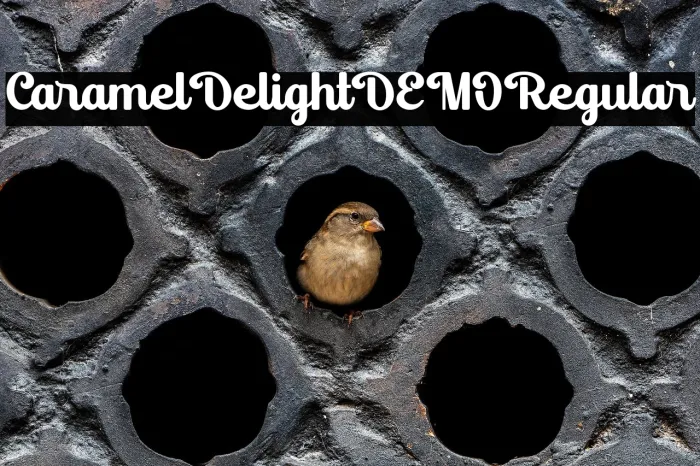 Caramel Delight DEMO Regular Example 1