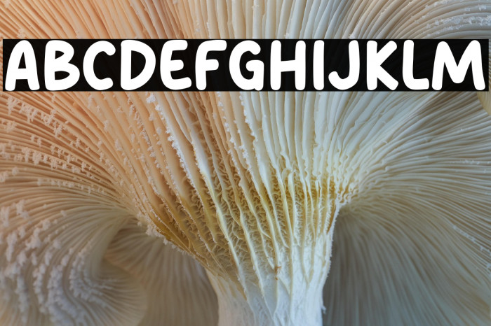 Caramel Milk Example 1