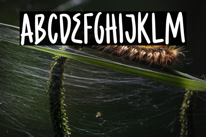 CaramelChestnutDEMO Example 3