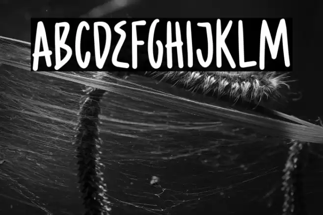 CaramelChestnutDEMO Font examples