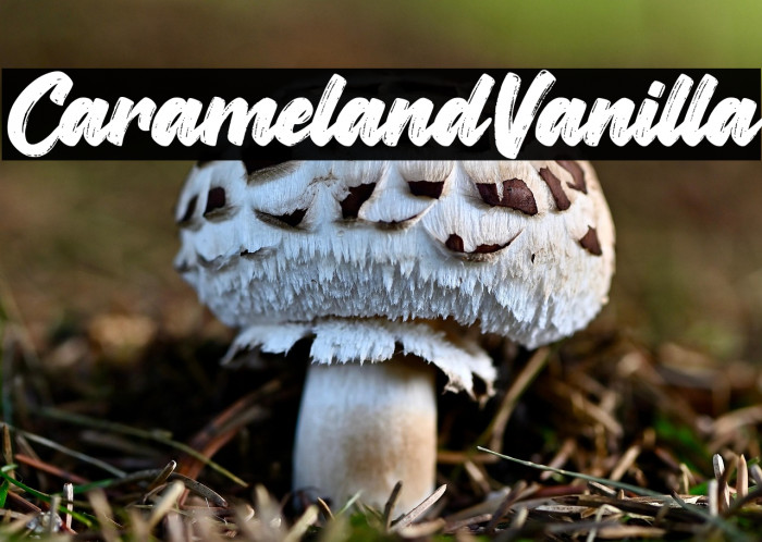 CaramelandVanilla Example 2