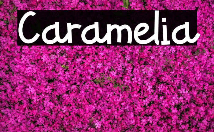 Caramelia Fonte examples