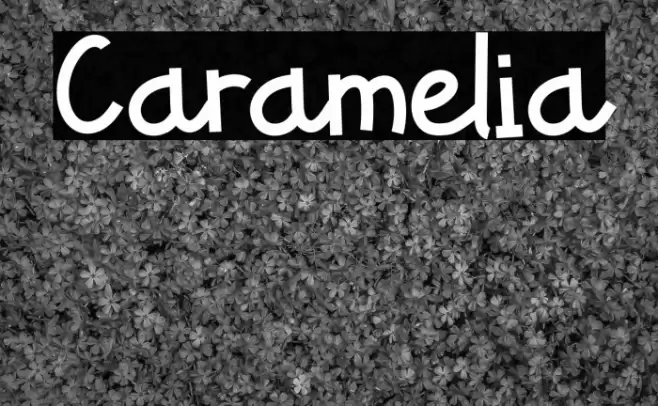 Caramelia Fonte examples