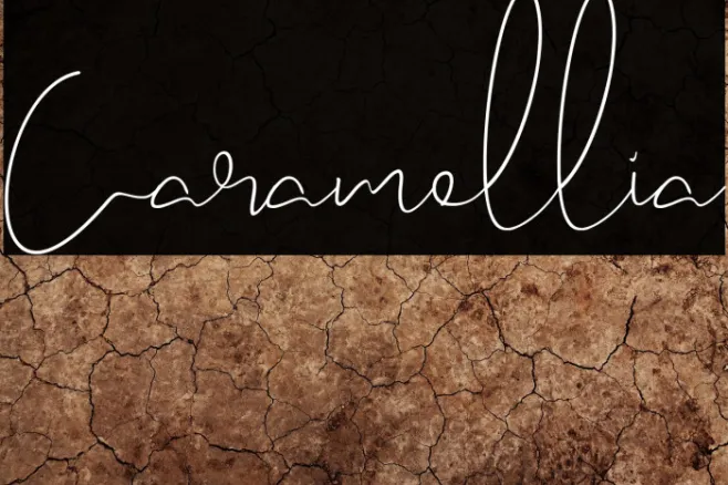 Caramellia Example 2