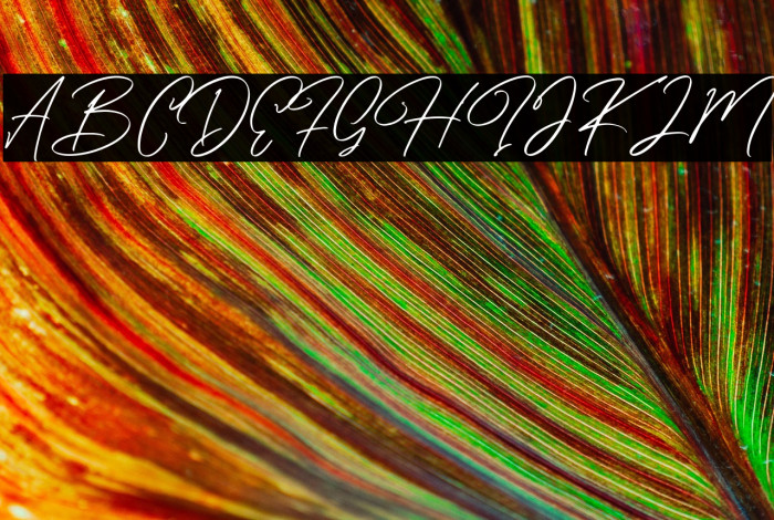 CaramelloFree Example 1