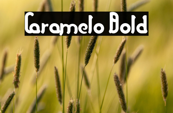 Caramelo Bold Example 3