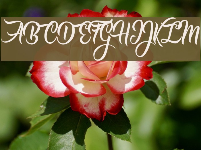 Caranda Personal Use Font examples