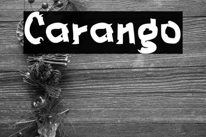 Carango Polices examples