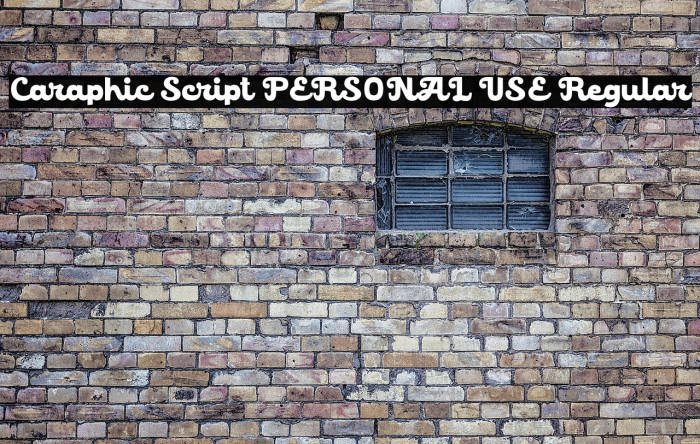 Caraphic Script PERSONAL USE Regular Example 1