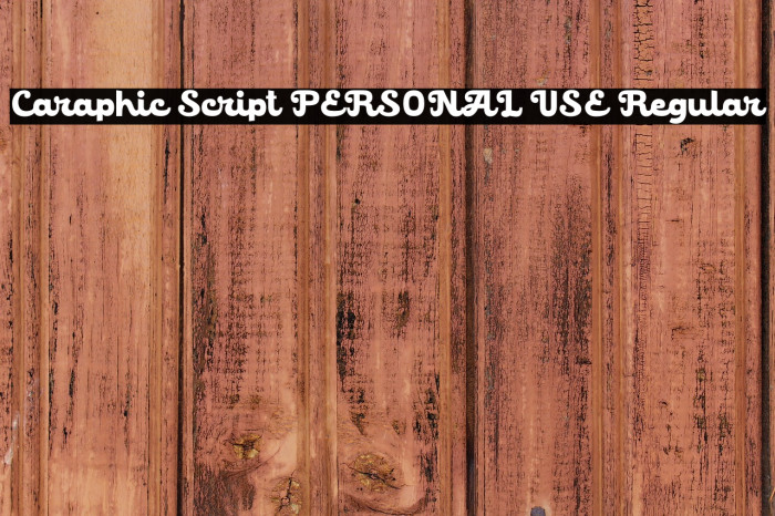 Caraphic Script PERSONAL USE Regular Example 3